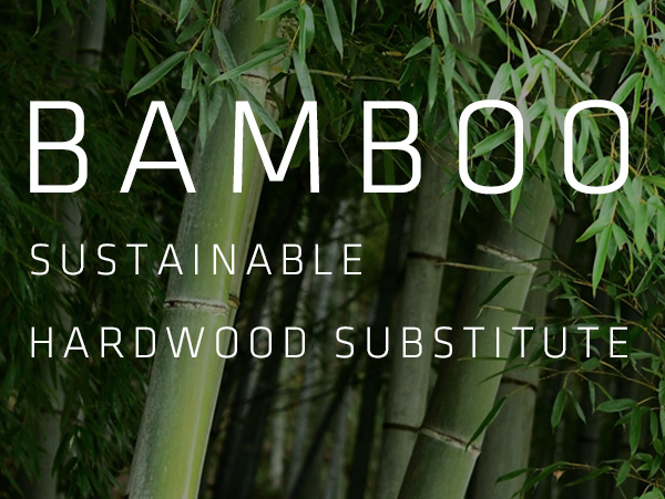 Bamboo Option