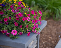 QuarryView Planter